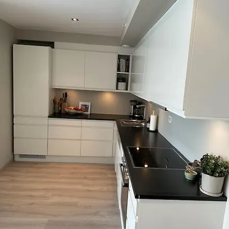 Apartman Modern In Jattavagen *